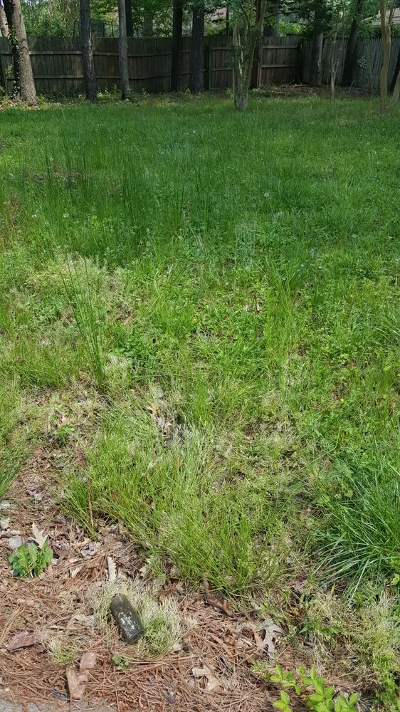 Professional landscape design in Virginia Beach, VA - Lawn Love Lawn Care