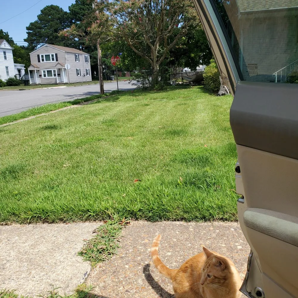 Expert lawn care service experts serving Virginia Beach, VA - Lawn Love Lawn Care