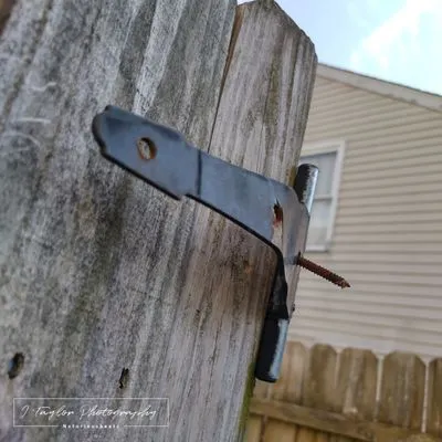 Lawn Love Lawn Care Logo