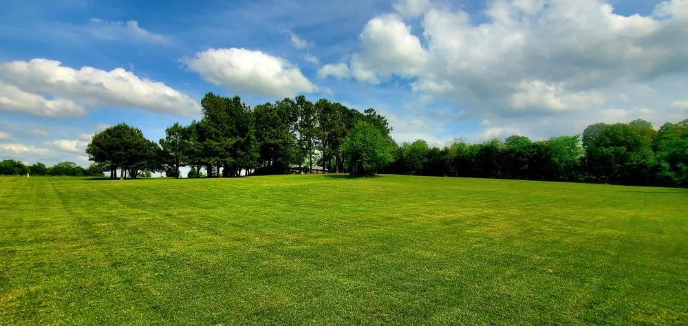 Affordable yard cleanup service for beautiful yards in Paducah, KY by Lawn Love Lawncare