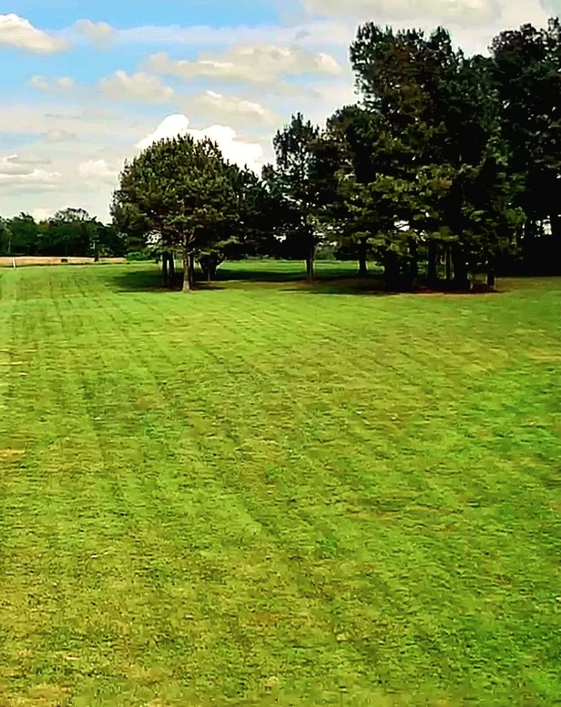 Local yard cleanup service in Paducah, KY - Lawn Love Lawncare