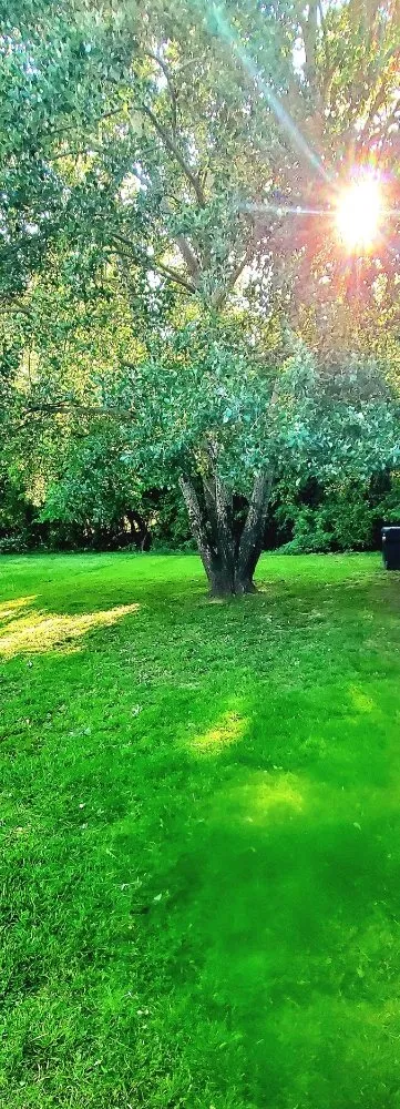 Local residential landscaping in Paducah, KY - Lawn Love Lawncare