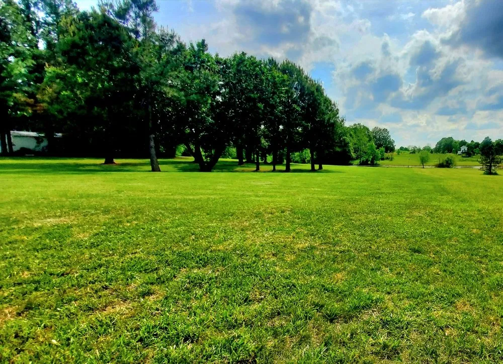 Expert landscape installation for beautiful yards across Paducah, KY - Lawn Love Lawncare