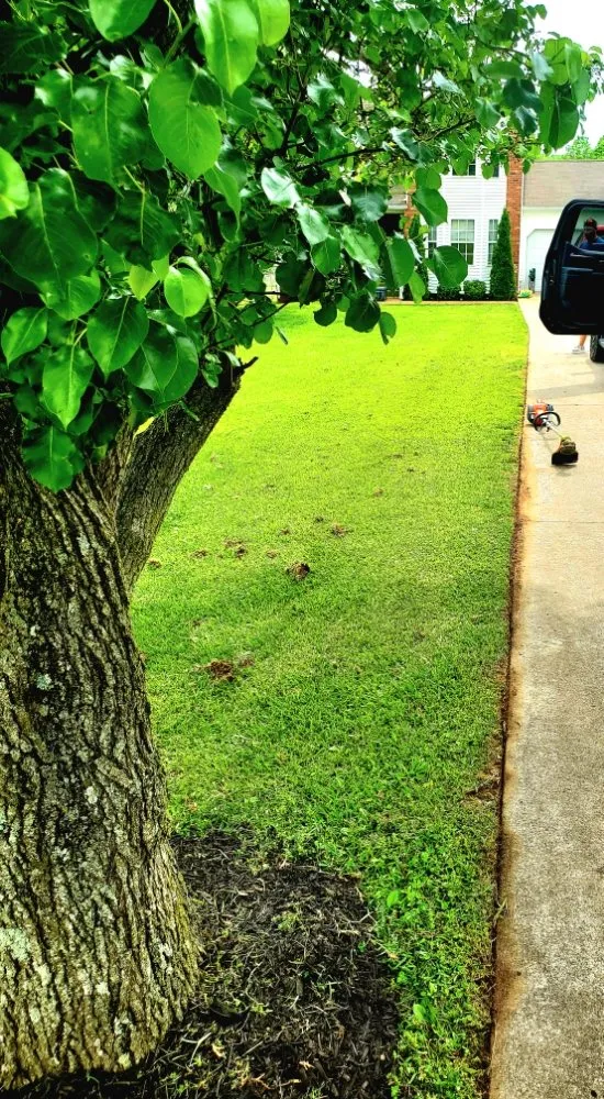 Reliable lawn care service experts serving Paducah, KY - Lawn Love Lawncare