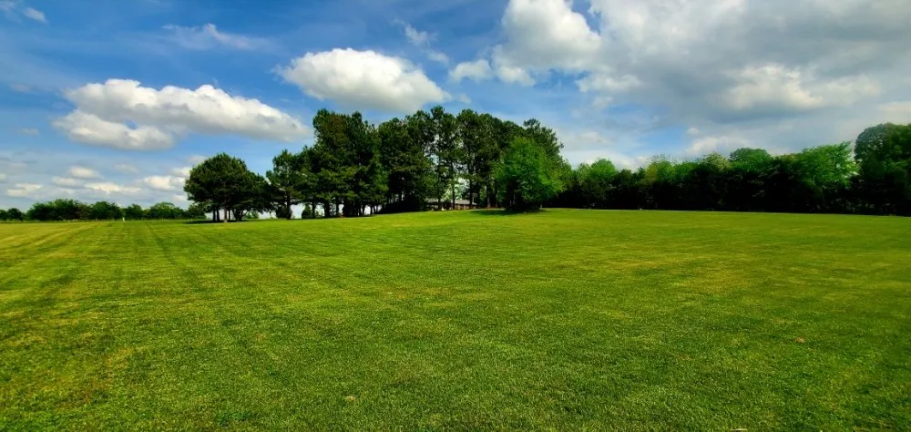 Local yard cleanup service experts serving Paducah, KY - Lawn Love Lawncare