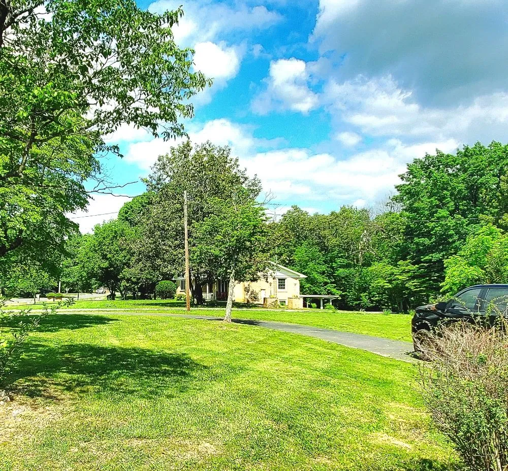 Affordable landscaping services in Paducah, KY by Lawn Love Lawncare