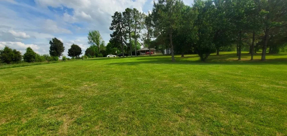 Expert landscaping services in Paducah, KY by Lawn Love Lawncare