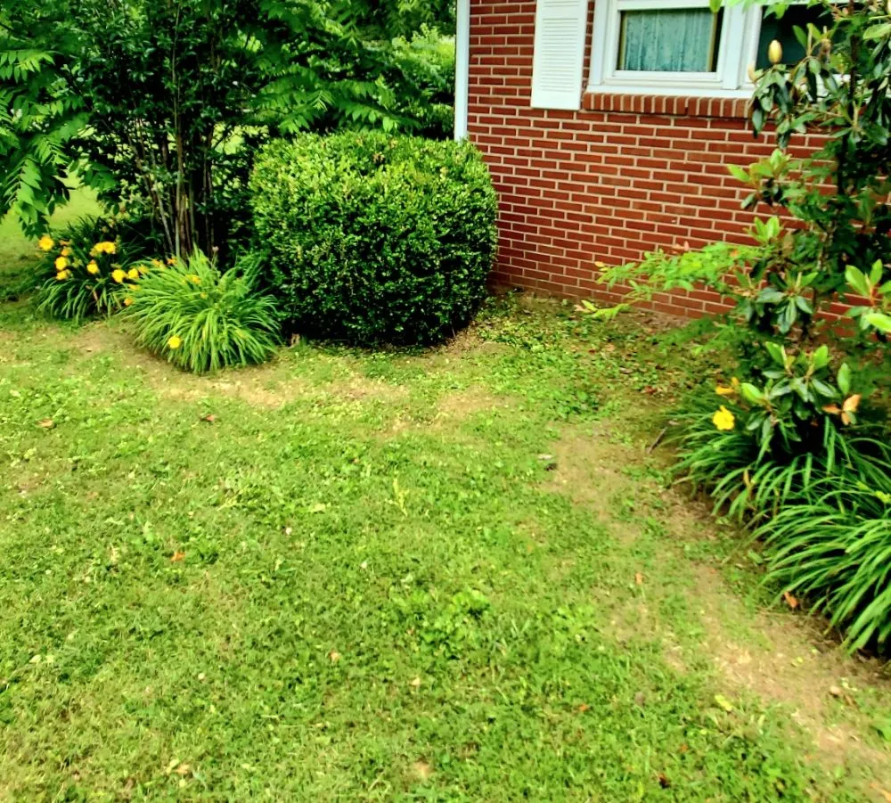 Reliable landscaping services in Paducah, KY - Lawn Love Lawncare