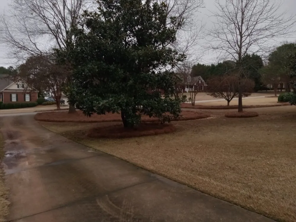 Expert lawn care service experts serving Loganville, GA - Lawn Lovers Landscaping