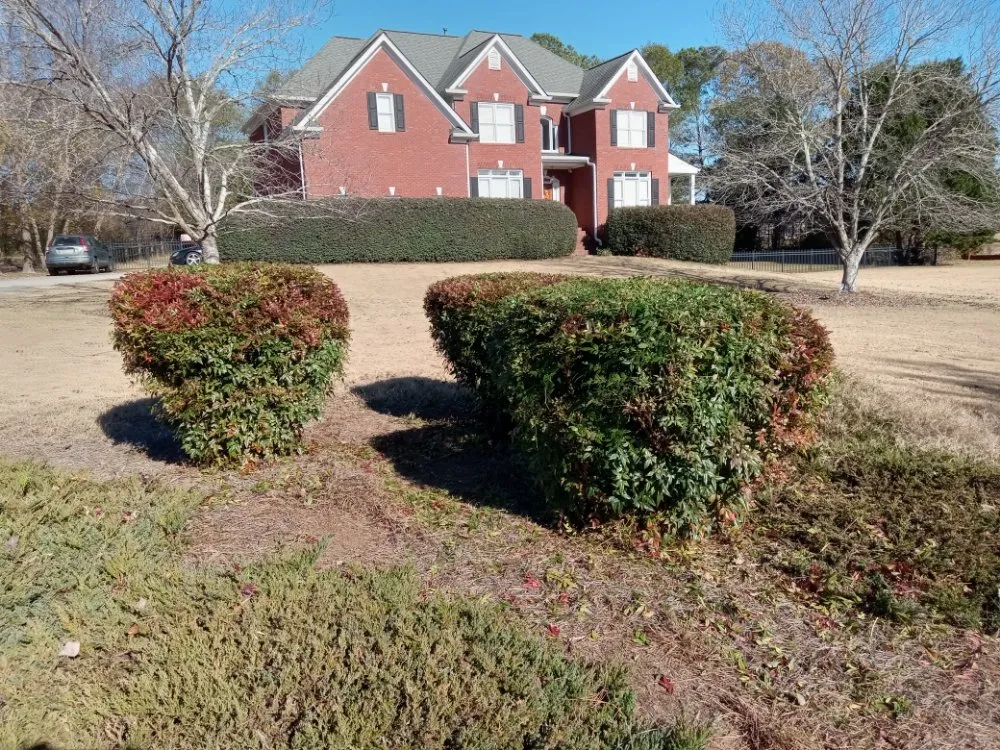 Professional outdoor landscaping experts serving Loganville, GA - Lawn Lovers Landscaping