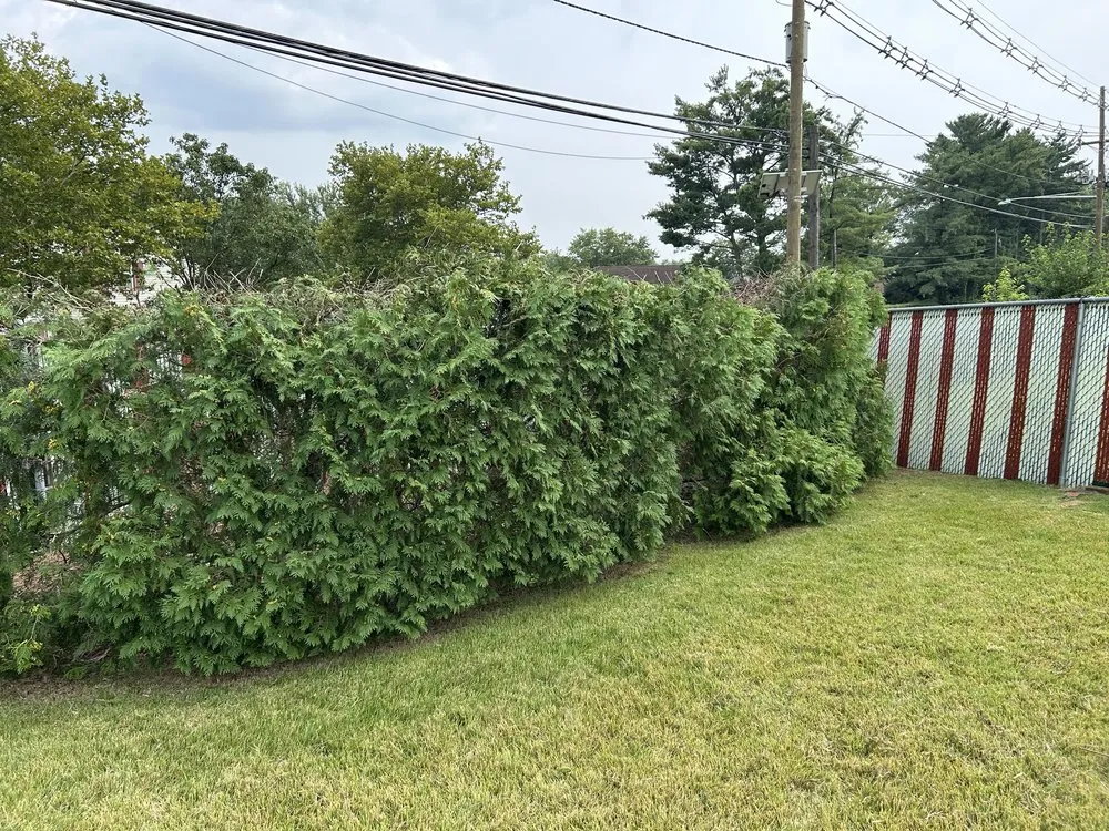 Affordable residential landscaping for year-round maintenance in Willingboro, NJ by Lawn Lovers