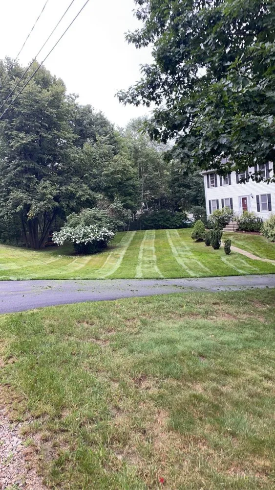 Top-rated yard cleanup service in Manchester, NH by Lawn Loyalty