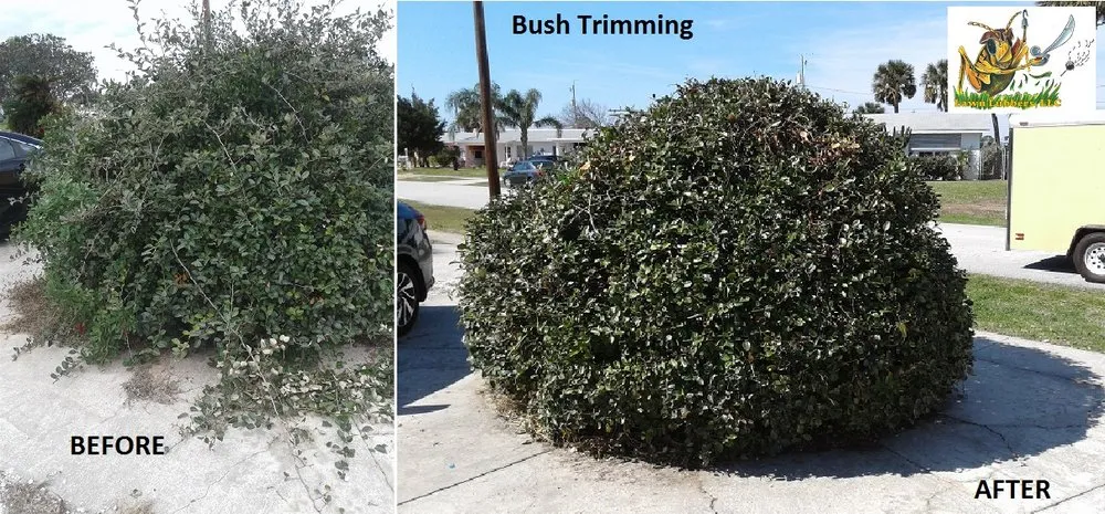 Custom landscaping services experts serving DeLand, FL - Lawn Lubbers