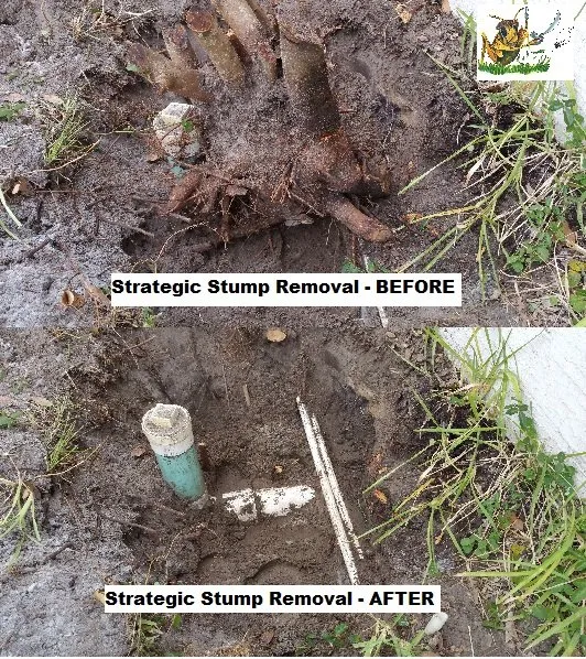 Affordable garden landscaping in DeLand, FL by Lawn Lubbers