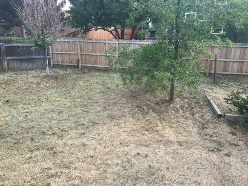 Top-rated landscape installation in Denver, CO by Lawn M D