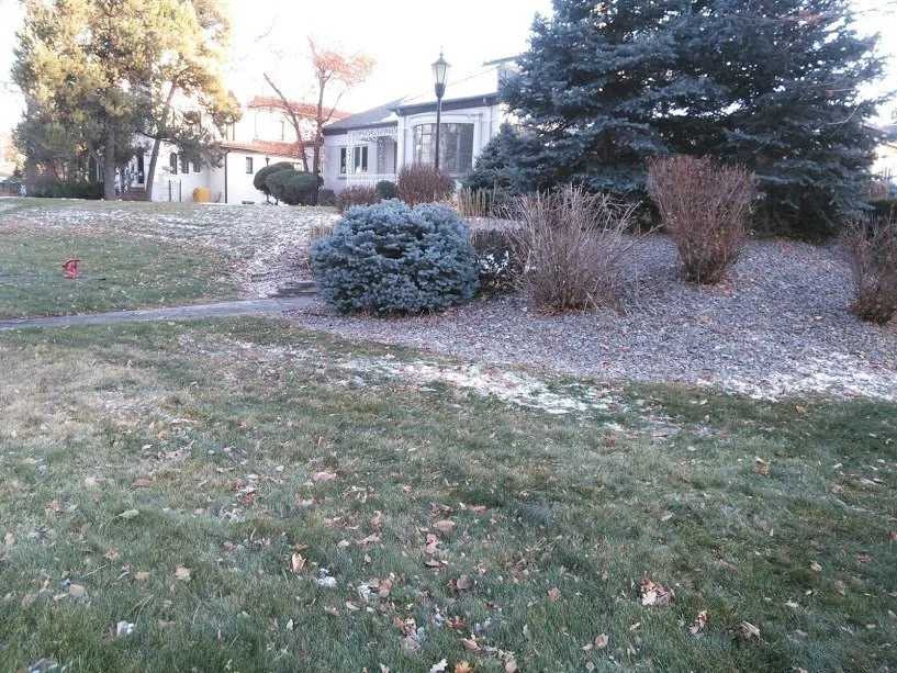 Trusted yard cleanup service for beautiful yards in Denver, CO by Lawn M D