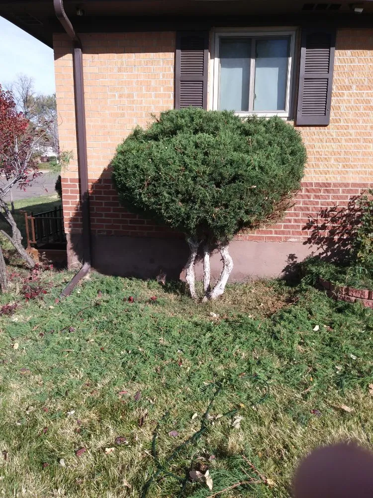 Custom outdoor landscaping with custom design in Denver, CO by Lawn M D