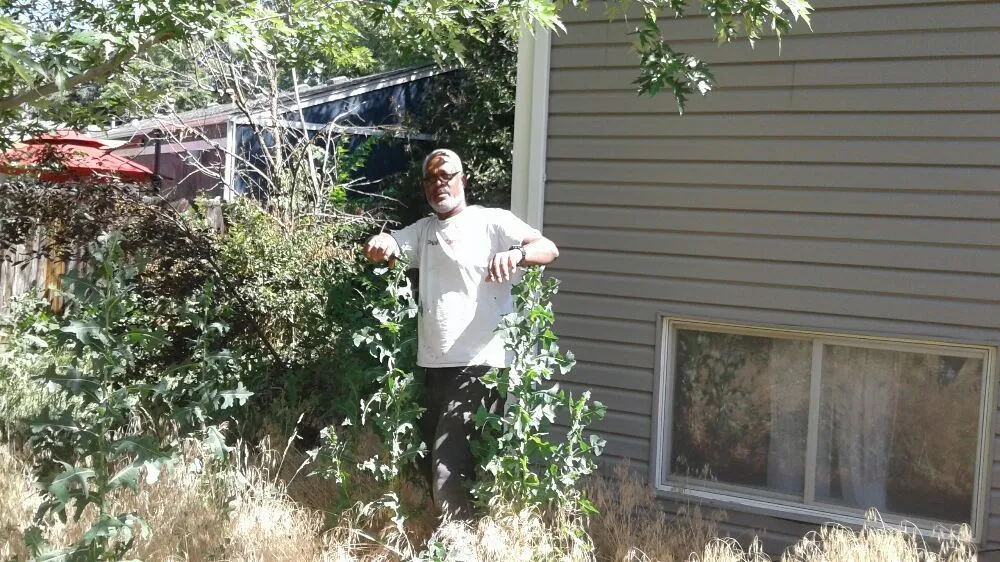 Affordable lawn mowing service for beautiful yards in Denver, CO by Lawn M D