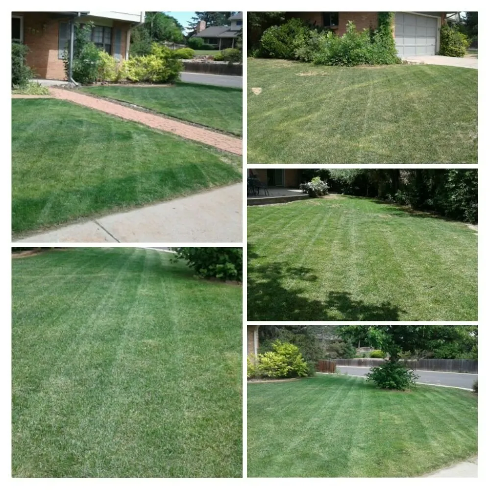 Affordable yard maintenance for beautiful yards in Denver, CO by Lawn M D