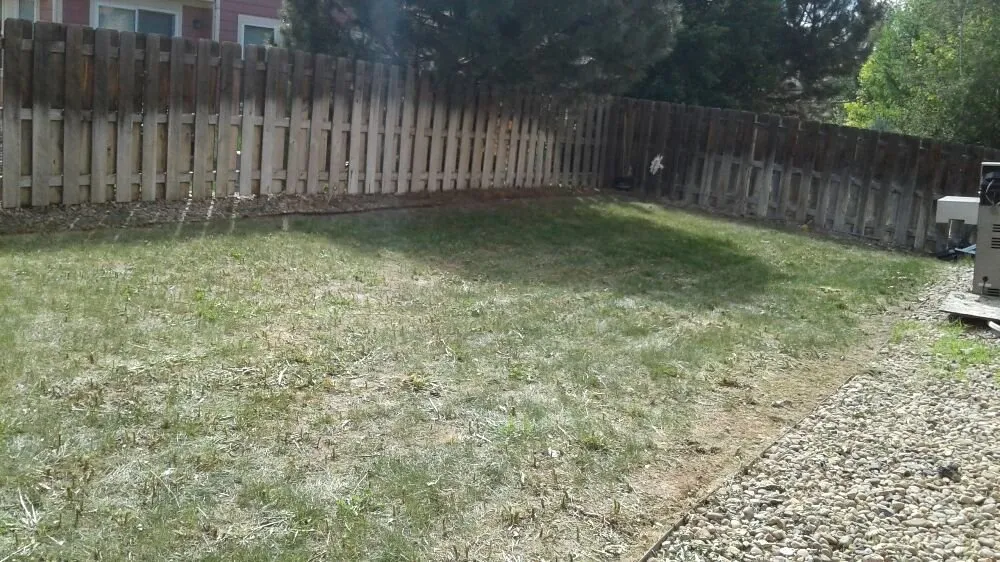 Local lawn care service in Denver, CO by Lawn M D