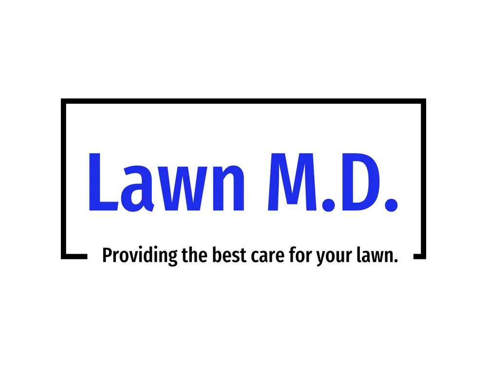 Expert yard maintenance for outdoor upgrades in Osseo, WI by Lawn M D