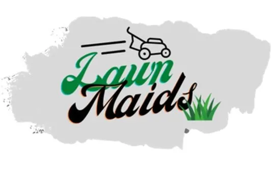 Top-rated landscape design in Terrell, TX by Lawn Maids