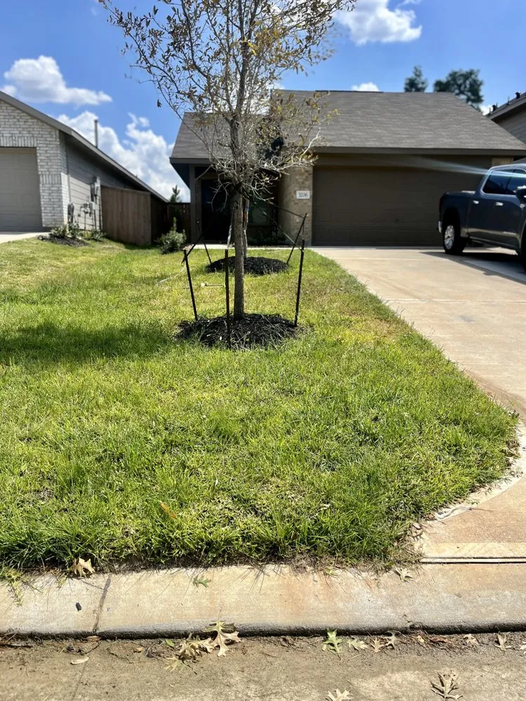 Expert landscape installation in Conroe, TX by Lawn Maintenance Chief