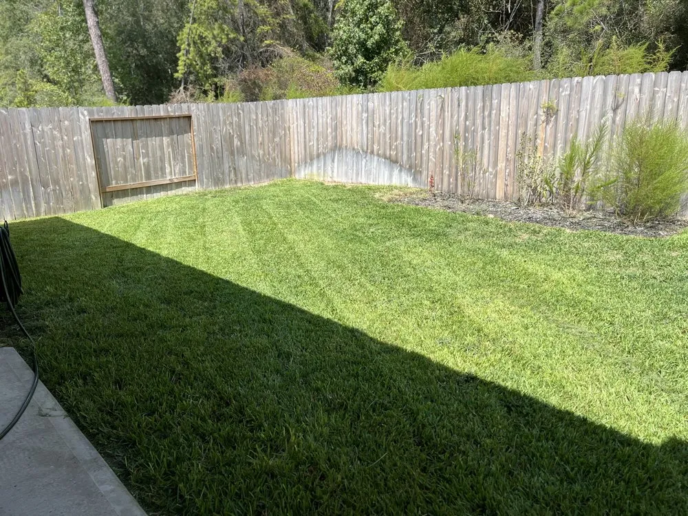 Custom outdoor landscaping for year-round maintenance in Conroe, TX by Lawn Maintenance Chief