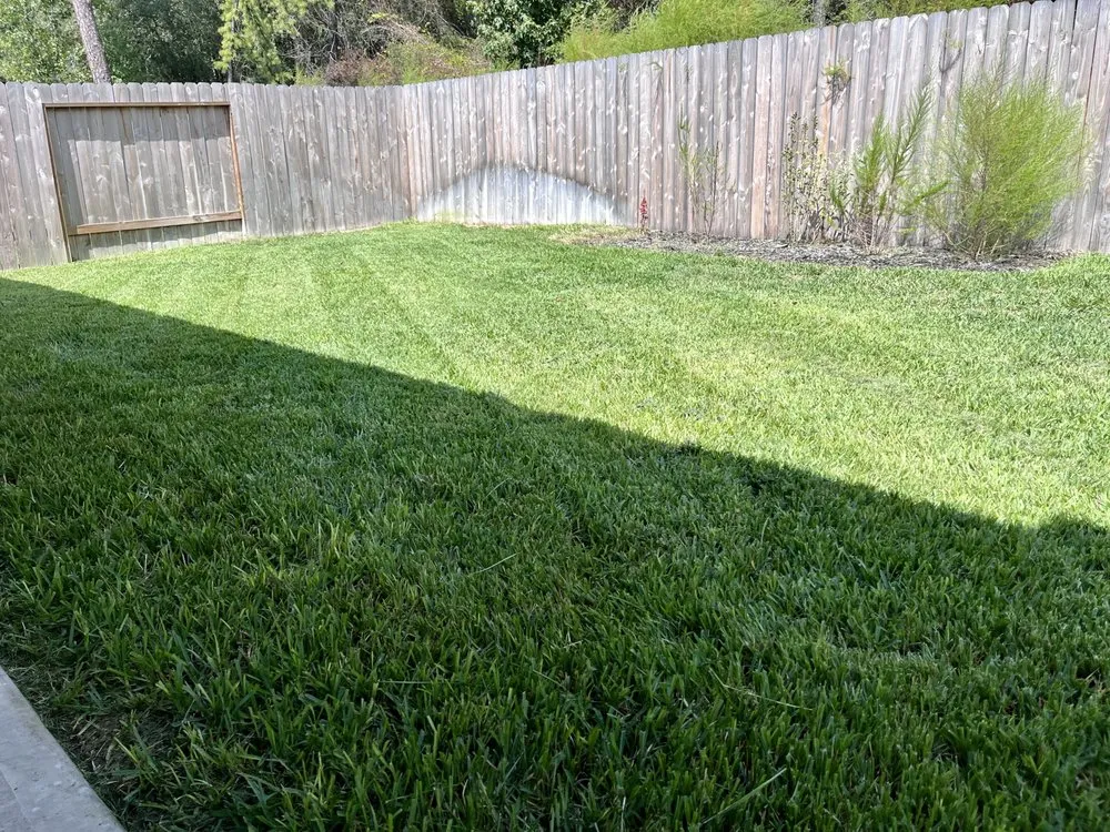 Affordable lawn mowing service for beautiful yards in Conroe, TX by Lawn Maintenance Chief