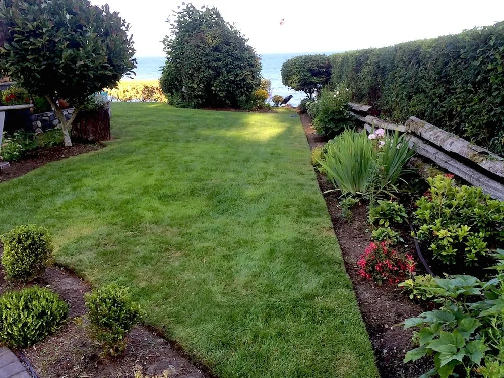 Affordable yard maintenance for year-round maintenance in Orlando, FL by Lawn Maintenance Master