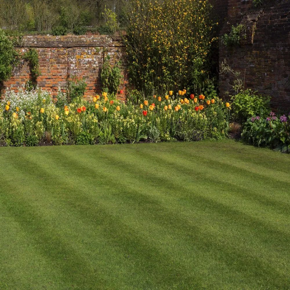 Reliable yard maintenance in Winter Park, FL - Lawn Maintenance Master
