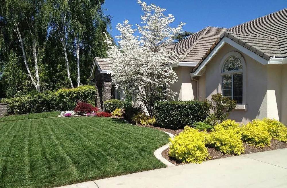 Top-rated lawn care service in Winter Park, FL by Lawn Maintenance Master