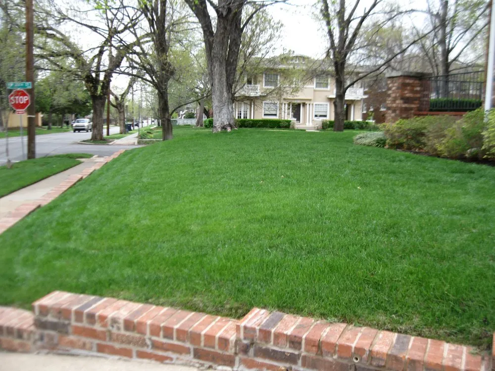 Reliable outdoor landscaping for homes across Winter Park, FL - Lawn Maintenance Master