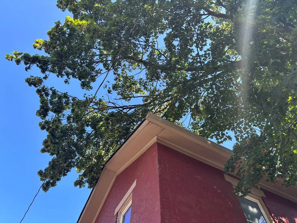 Professional lawn mowing service experts serving Dayton, OH - Lawn Maintenance P & R