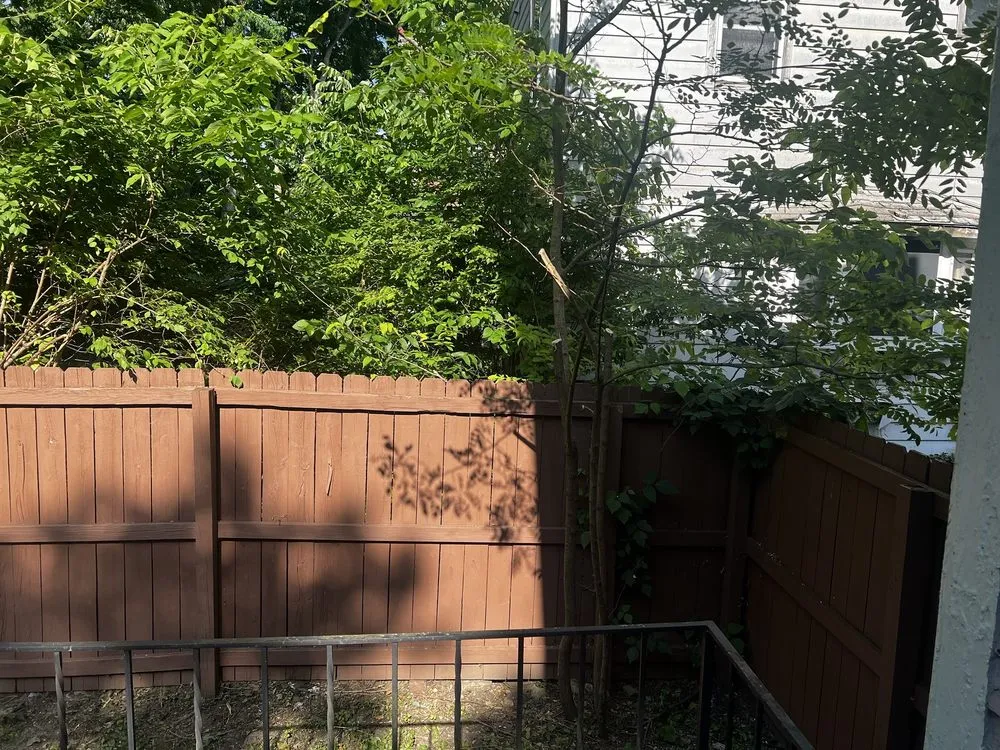 Trusted yard cleanup service in Dayton, OH - Lawn Maintenance P & R