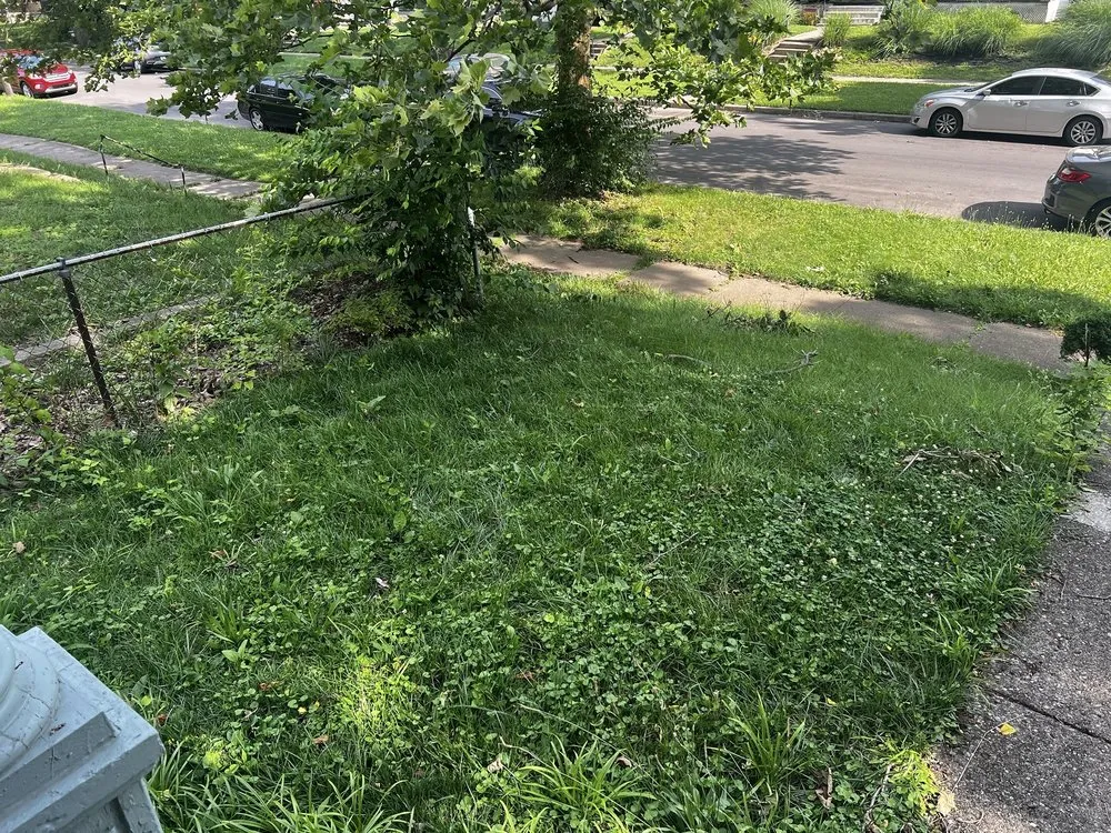 Professional lawn care service for homes across Dayton, OH - Lawn Maintenance P & R
