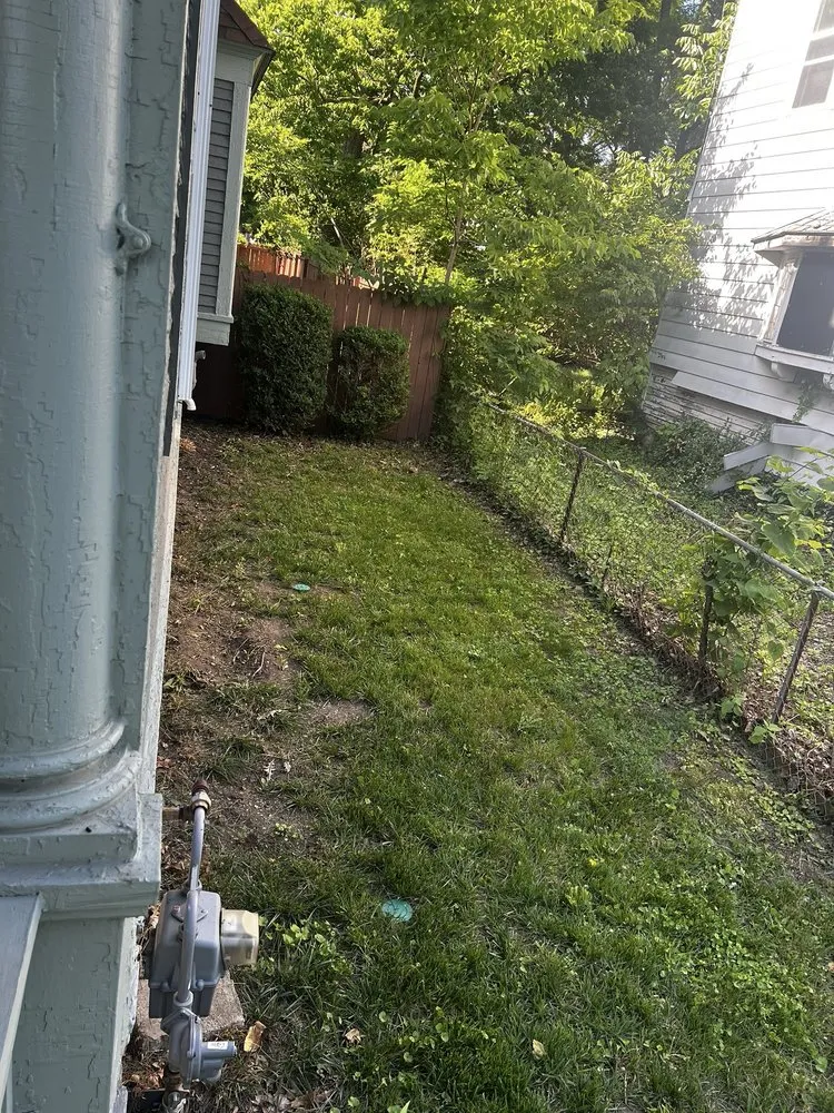 Top-rated yard cleanup service experts serving Dayton, OH - Lawn Maintenance P & R