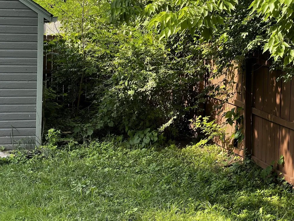 Affordable landscaping services in Dayton, OH - Lawn Maintenance P & R