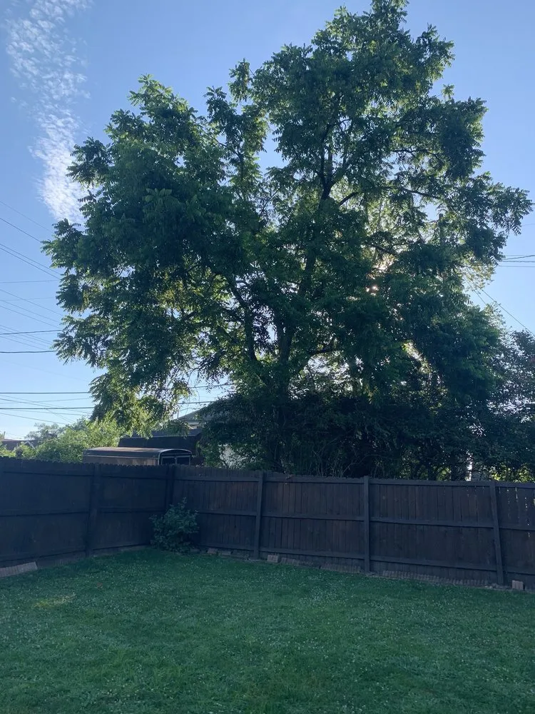 Trusted outdoor landscaping experts serving Dayton, OH - Lawn Maintenance P & R