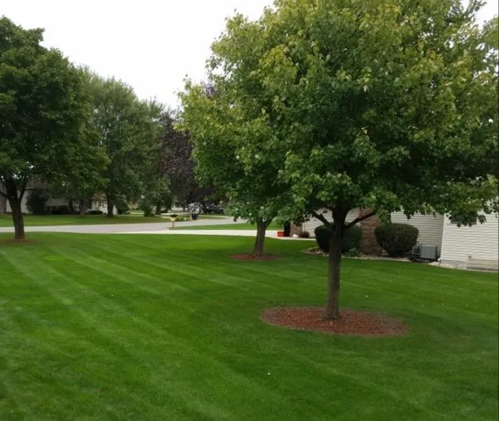 Top-rated lawn mowing service in Beloit, WI by Lawn Maintenance Professionals