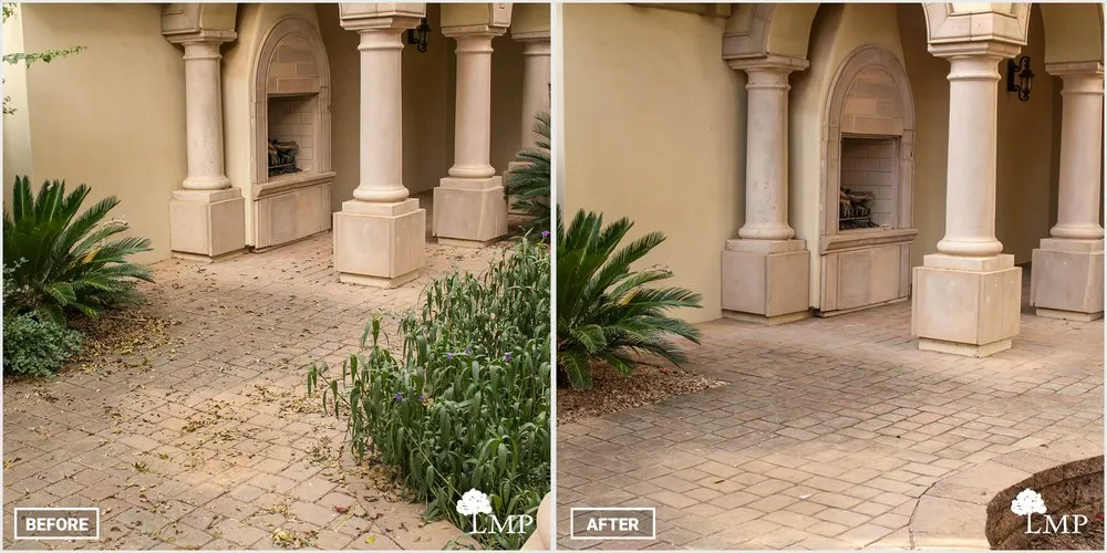 Affordable landscape design in Apache Junction, AZ by Lawn Maintenance Pros