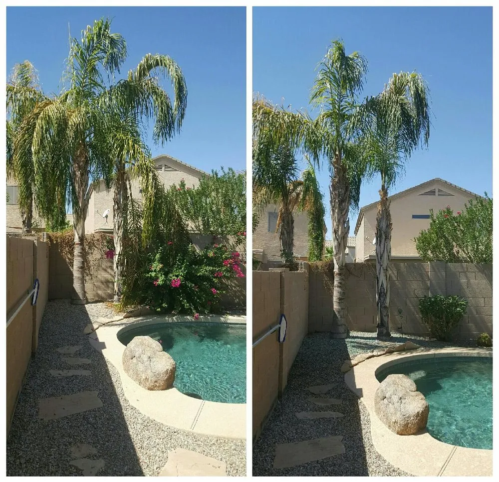 Custom yard maintenance experts serving Apache Junction, AZ - Lawn Maintenance Pros