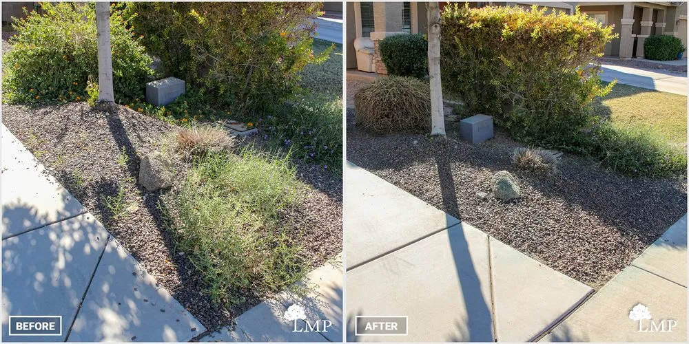 Local lawn mowing service experts serving Apache Junction, AZ - Lawn Maintenance Pros