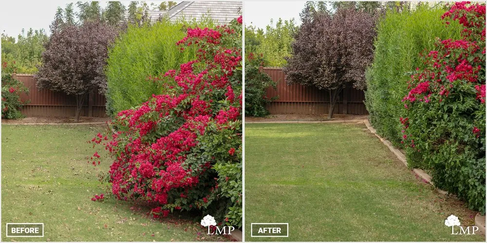 Expert residential landscaping in Apache Junction, AZ - Lawn Maintenance Pros