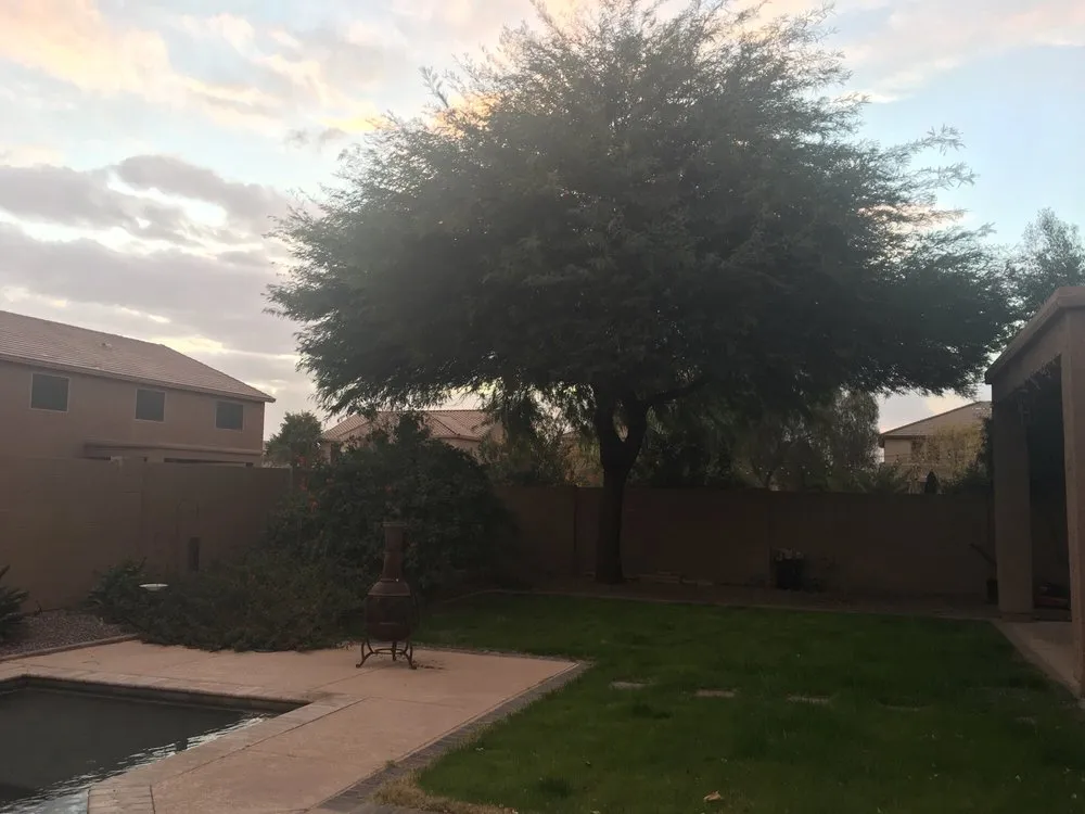 Top-rated outdoor landscaping with custom design in Apache Junction, AZ by Lawn Maintenance Pros