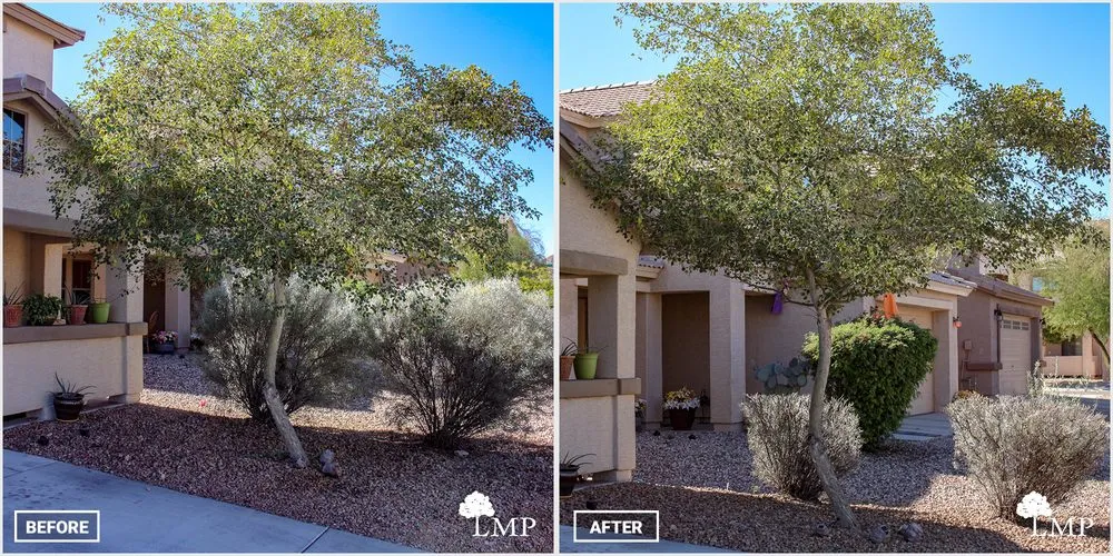 Professional landscaping services in Apache Junction, AZ by Lawn Maintenance Pros