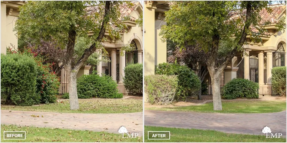 Affordable landscape installation for residential properties in Apache Junction, AZ by Lawn Maintenance Pros