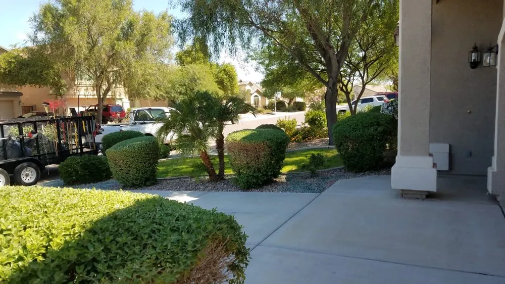 Reliable landscaping services experts serving Apache Junction, AZ - Lawn Maintenance Pros