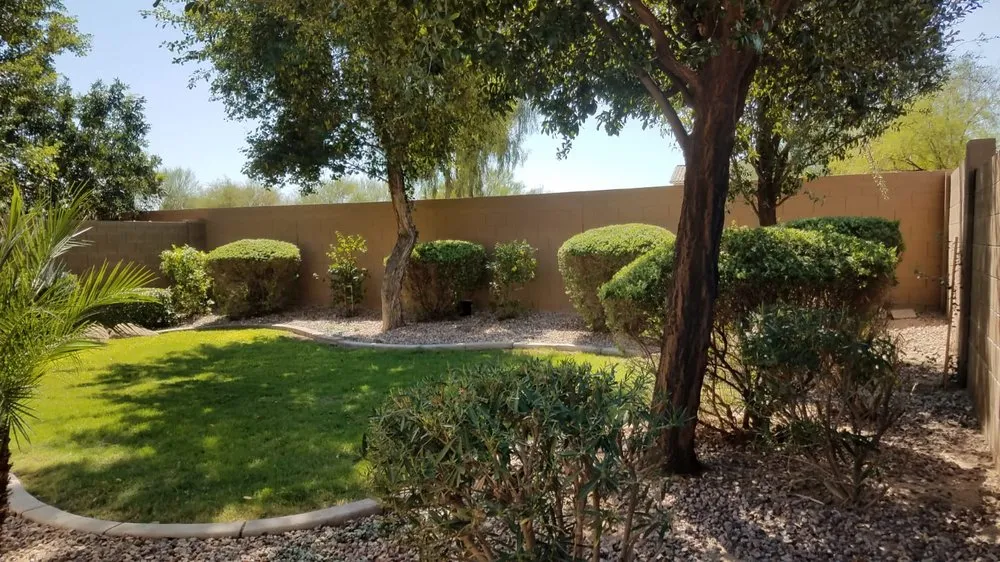 Trusted yard maintenance in Apache Junction, AZ by Lawn Maintenance Pros
