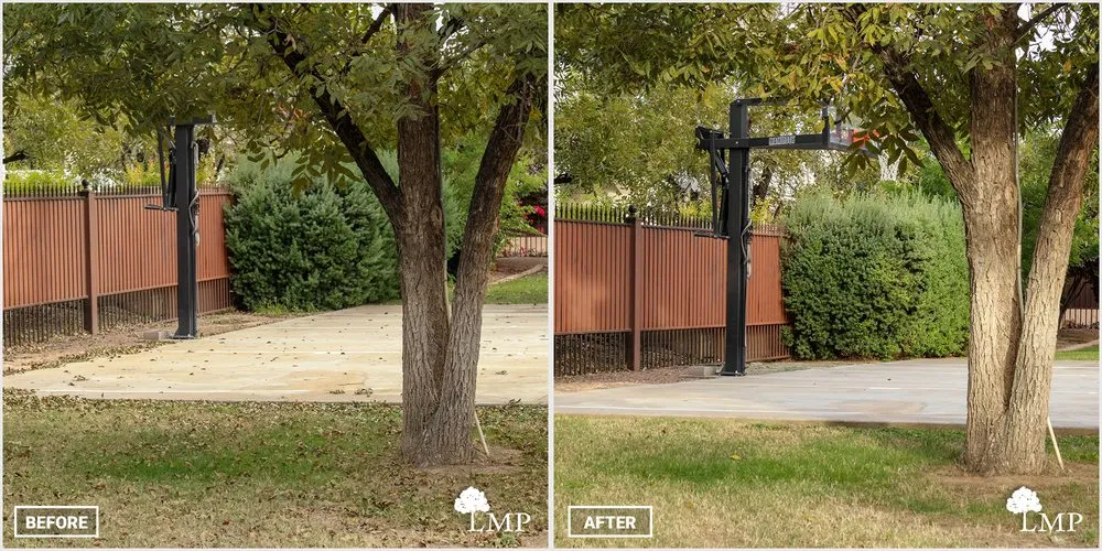 Local landscaping services for homes across Apache Junction, AZ - Lawn Maintenance Pros